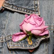 Jeans And Rose